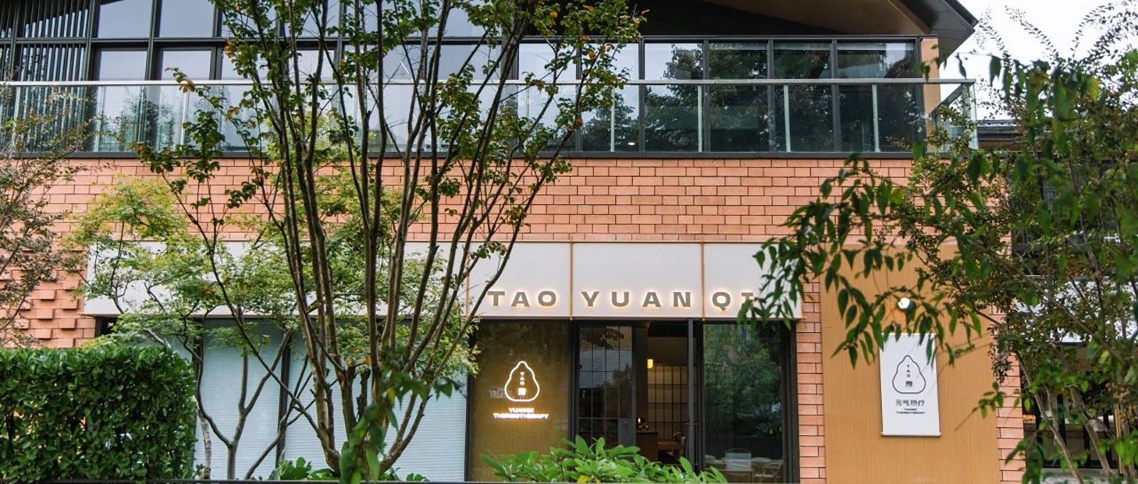 TAO焘元气热疗品牌设计